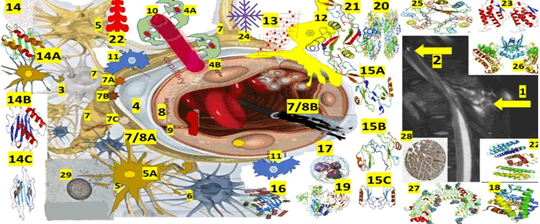 Journa-Drug-Alcohol-Research-Based