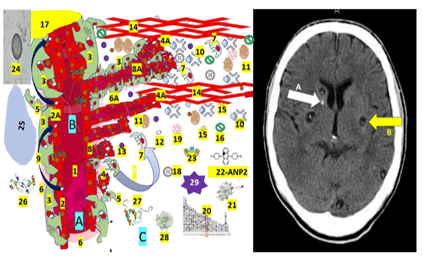 Journa-Drug-Alcohol-Research-Proposed