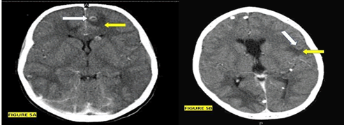 Journal-Drug-Alcohol-Research-Axial