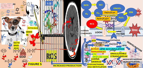 Journal-Drug-Alcohol-Research-Graphical