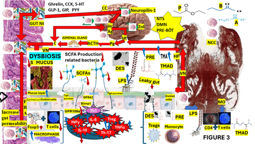 Journal-Drug-Alcohol-Research-Graphical