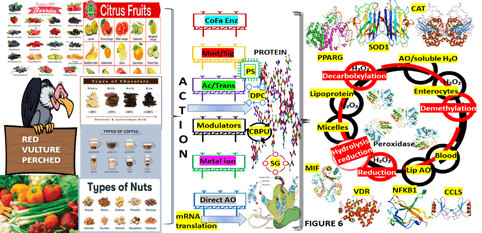 Journal-Drug-Alcohol-Research-Graphical-Representation