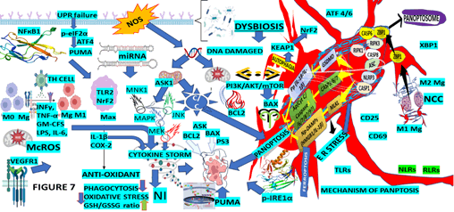 Journal-Drug-Alcohol-Research-Graphical-Representation-OS