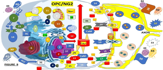 Journal-Drug-Alcohol-Research-Illustrate