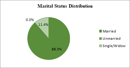 Journal-Drug-Alcohol-Research-Marital