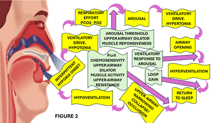 Journal-Drug-Alcohol-Research-Mechanisms