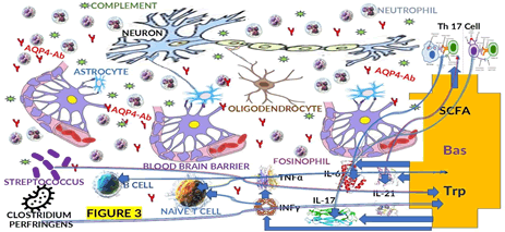 Journal-Drug-Alcohol-Research-NMOSD