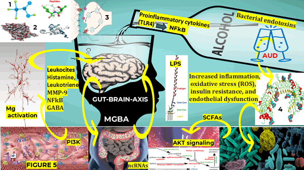 Journal-Drug-Alcohol-Research-Representation