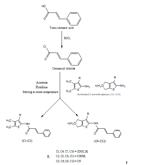 Journal-Drug-Alcohol-Research-Schematic