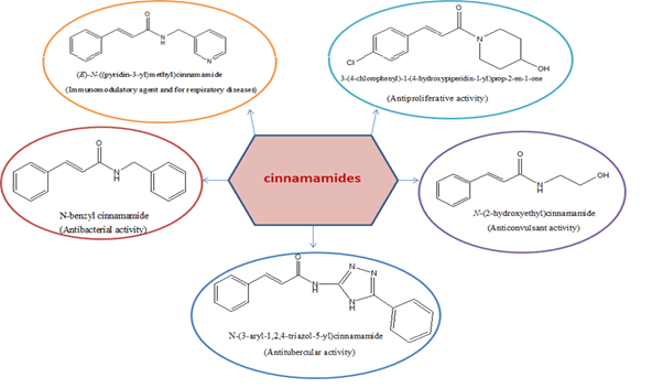 Journal-Drug-Alcohol-Research-Structures