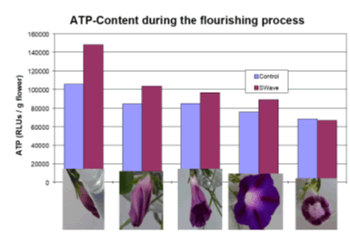 Journal-Evoluntionary-Medicine-ATP-Level