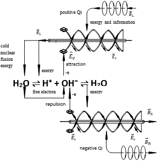 Journal-Evoluntionary-Medicine-Schematic-Diagram