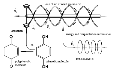 Journal-Evoluntionary-Medicine-Transition